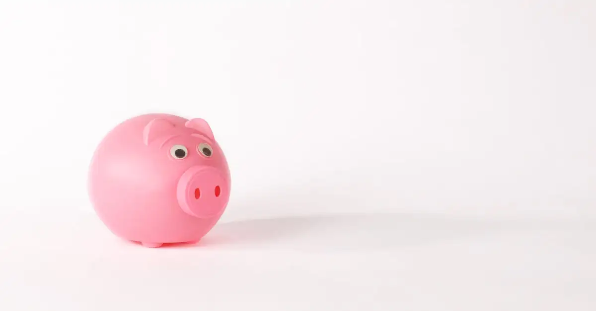 Gratis financieel advies van het Nibud: krijg inzicht in je budget.